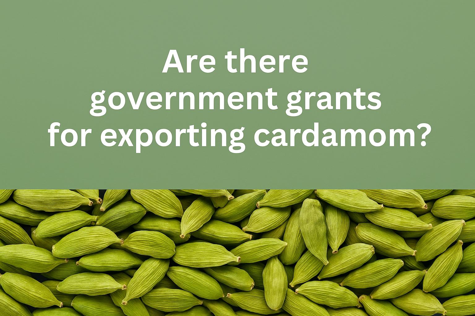 Are there government grants for exporting cardamom?