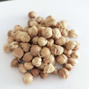 Thai Cardamom