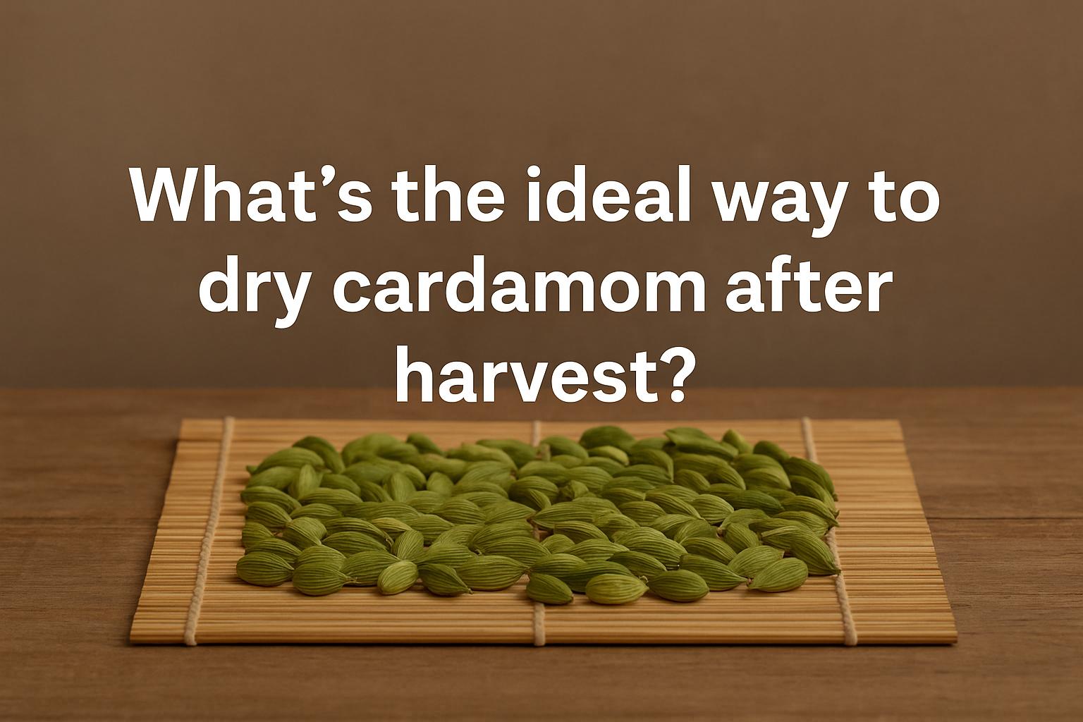 What’s the ideal way to dry cardamom after harvest?