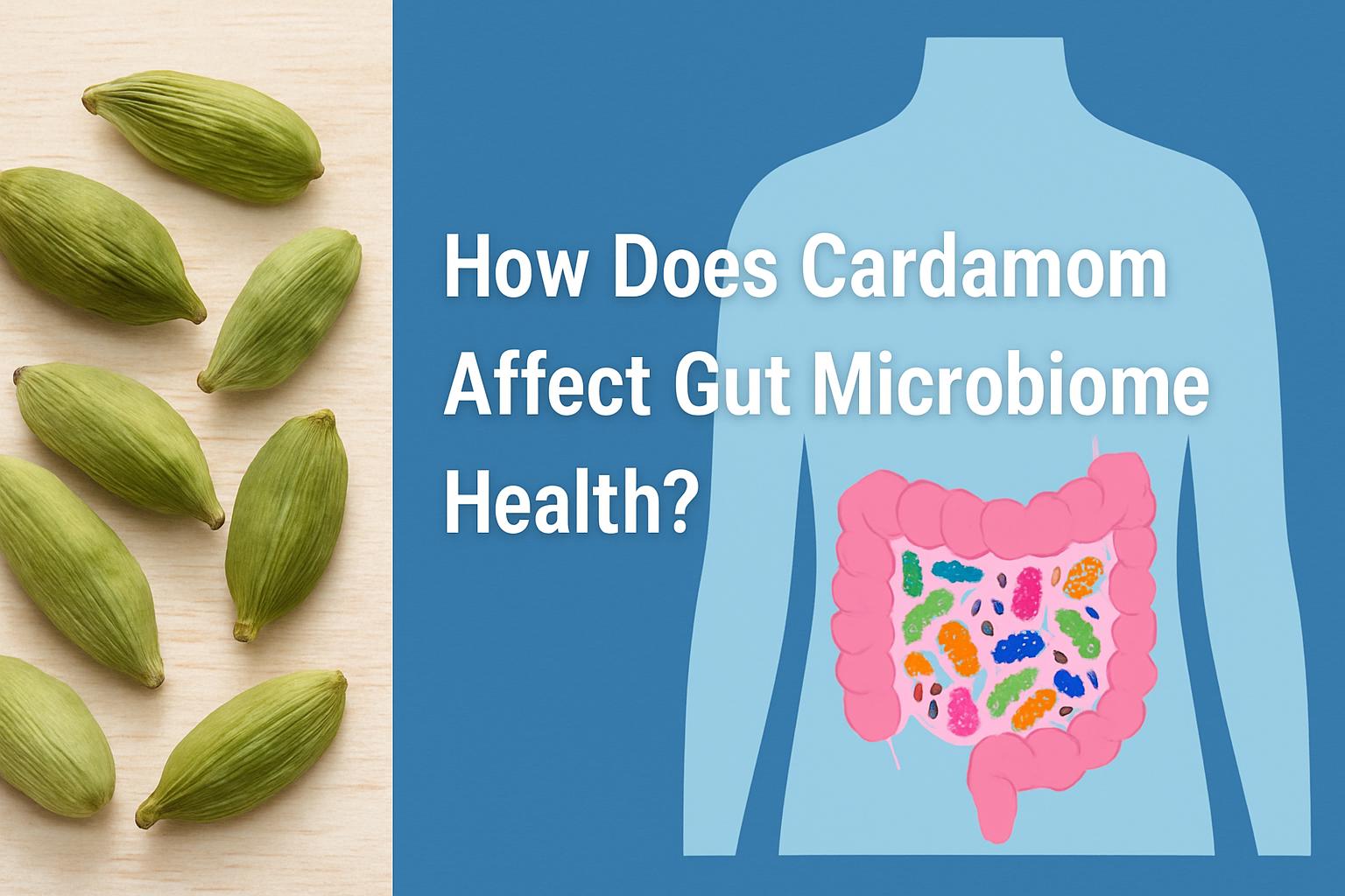 How does cardamom affect gut microbiome health?