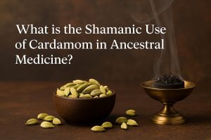 What is the shamanic use of cardamom in ancestral medicine?